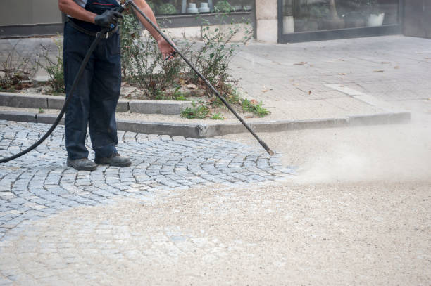 Best Fence Cleaning  in Shoreacres, TX